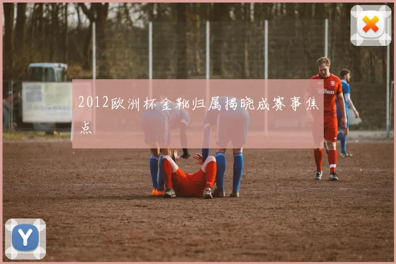 2012欧洲杯金靴归属揭晓成赛事焦点