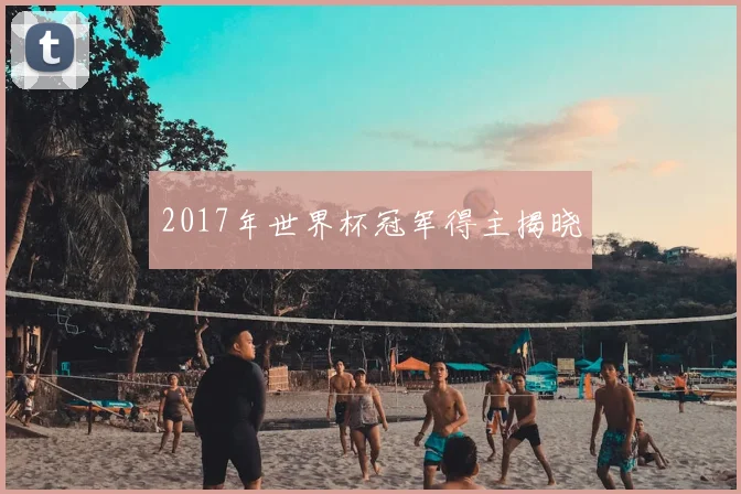 2017年世界杯冠军得主揭晓