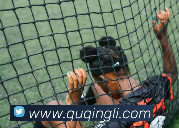 App Interface Preview